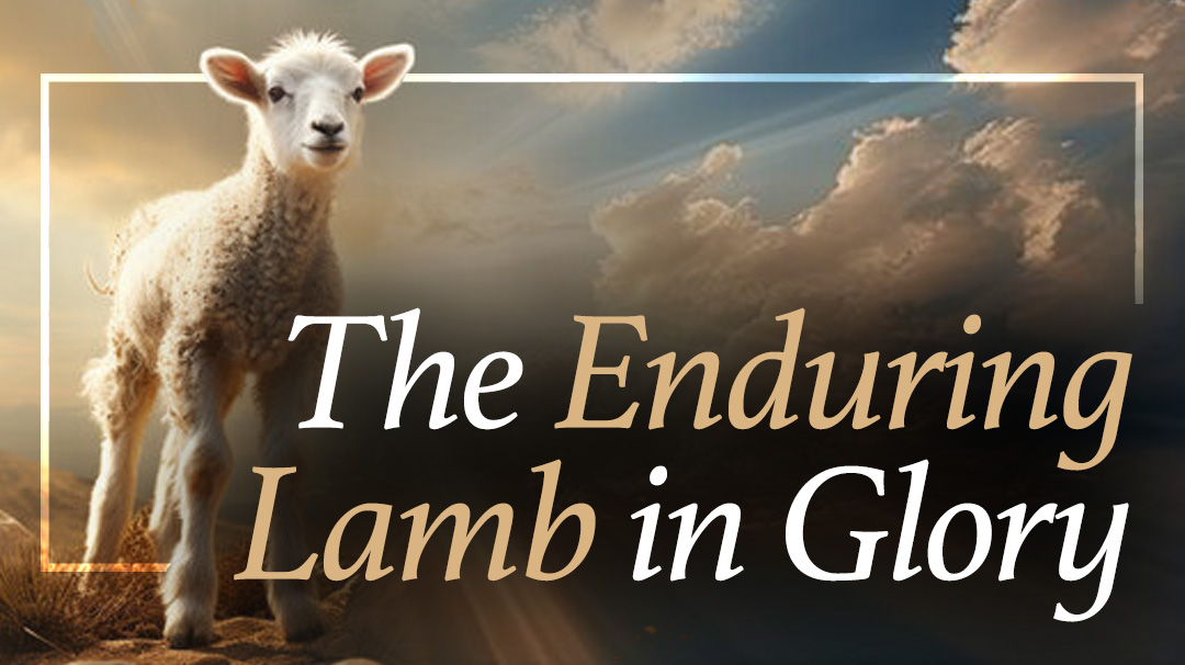 The Enduring Lamb In Glory